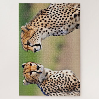 Cheetah Brothers Jigsaw Puzzle