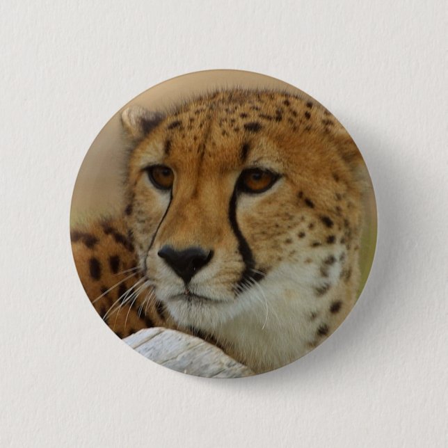 Cheetah Button (Front)