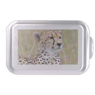 Cheetah Cake Pan