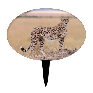Cheetah Cake Topper