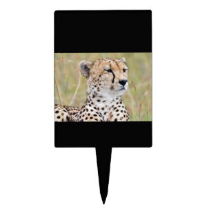 Cheetah Cake Topper