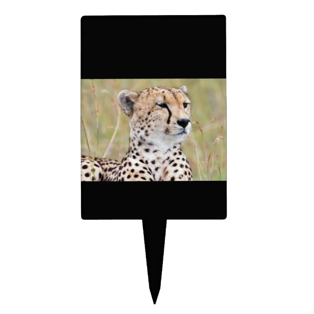 Cheetah Cake Topper (Front)