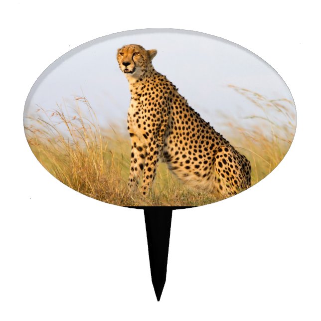 Cheetah Cake Topper (Front)