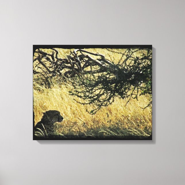 Cheetah Canvas Print (Front)