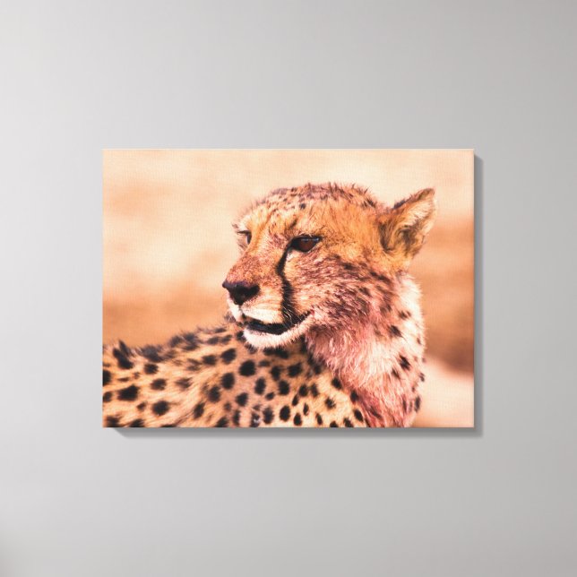 Cheetah Canvas Print (Front)