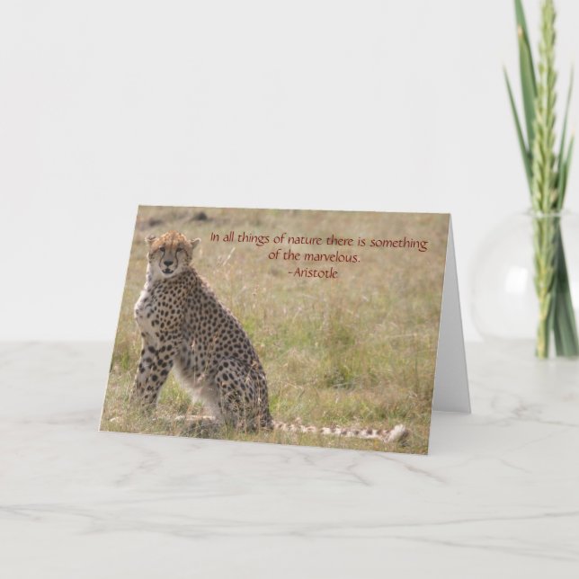 Cheetah Card (Front)