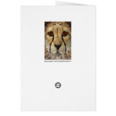 Cheetah Cards (Back)