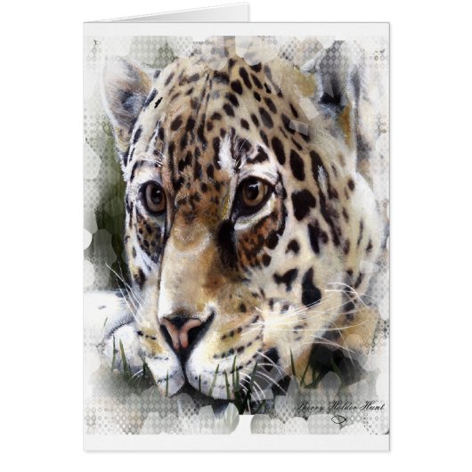 Cheetah Cards (Front)