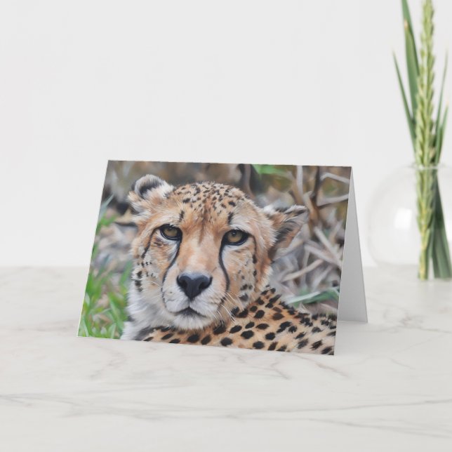Cheetah Cat Art Portrait Note Card (Front)