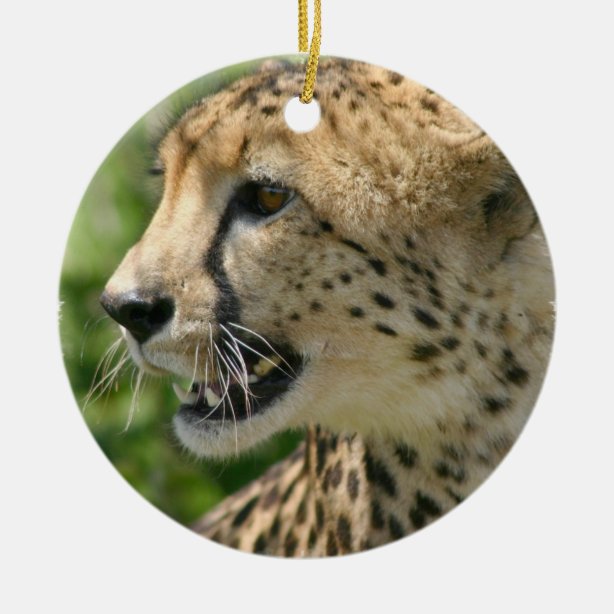 Cheetah Christmas Ornaments Zazzle 100 Satisfaction Guaranteed
