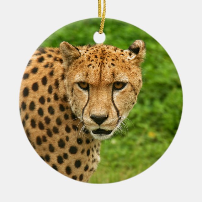 Cheetah Ceramic Ornament (Front)