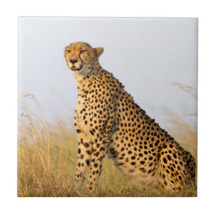 Cheetah Ceramic Tile