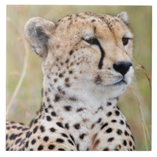 Cheetah Ceramic Tile