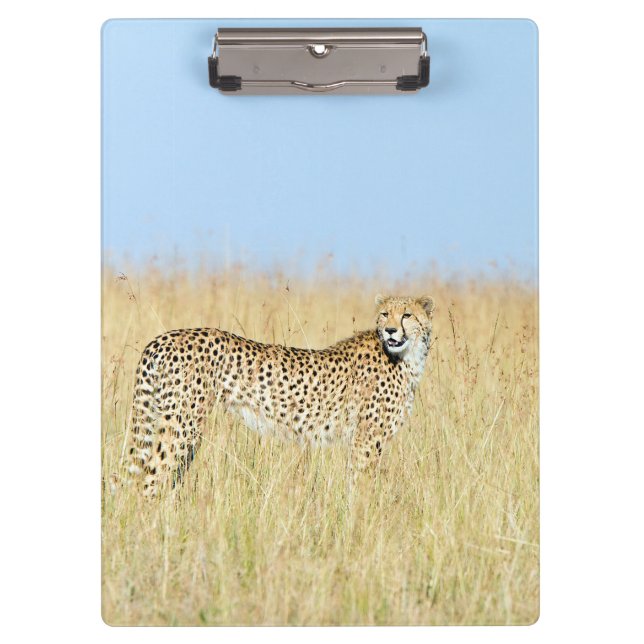 Cheetah Clipboard (Front)