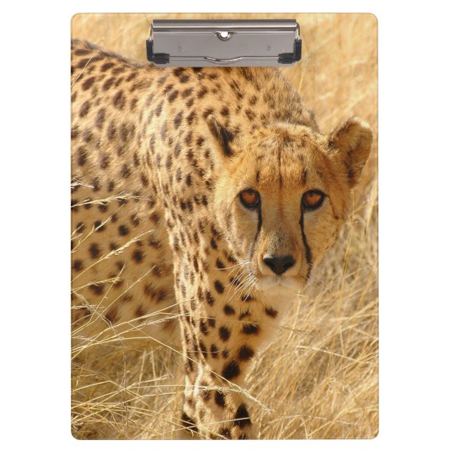 Cheetah/Clipboard Clipboard (Front)