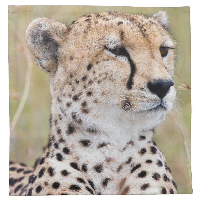 Cheetah Cloth Napkin (Front)