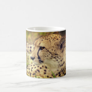 Cheetah Coffee Mug