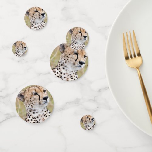 Cheetah Confetti