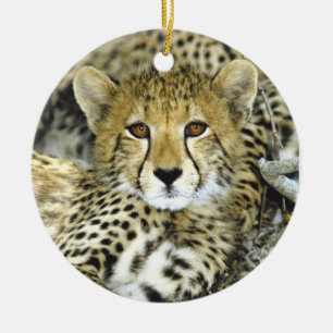Cheetah Cub 2 Ceramic Ornament