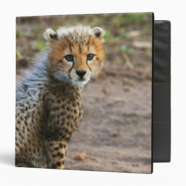 Cheetah Cub Acinonyx Jubatus) Binder (Front/Inside)