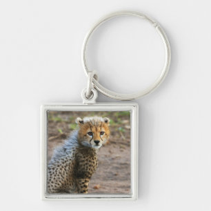 Cheetah Cub Acinonyx Jubatus) Keychain