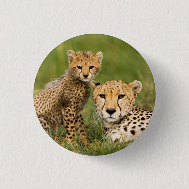Cheetah Cub and Parent in Grass Button (Front)