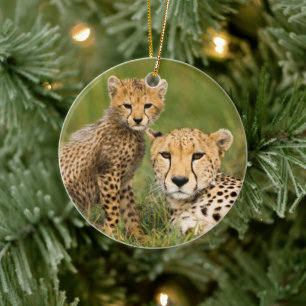 Cheetah Cub and Parent in Grass Ceramic Ornament