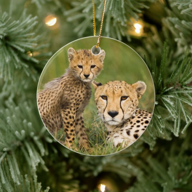 Cheetah Cub and Parent in Grass Ceramic Ornament (Tree)
