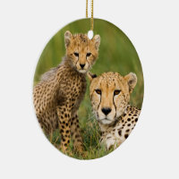 Cheetah Cub and Parent in Grass Ceramic Ornament