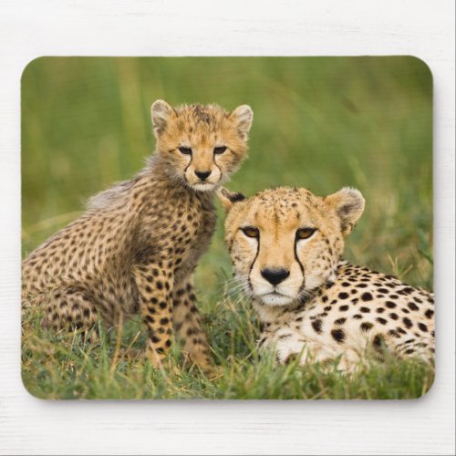Cheetah Cub and Parent in Grass Mouse Pad