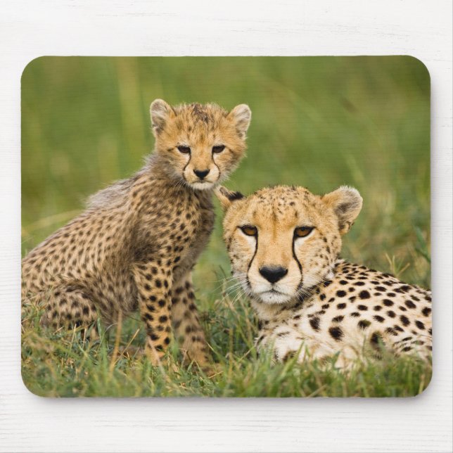 Cheetah Cub and Parent in Grass Mouse Pad (Front)