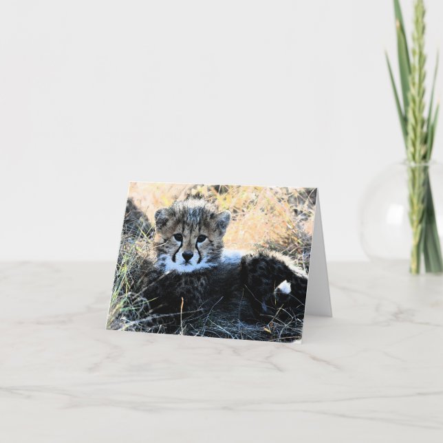 Cheetah cub customizable note card (Front)