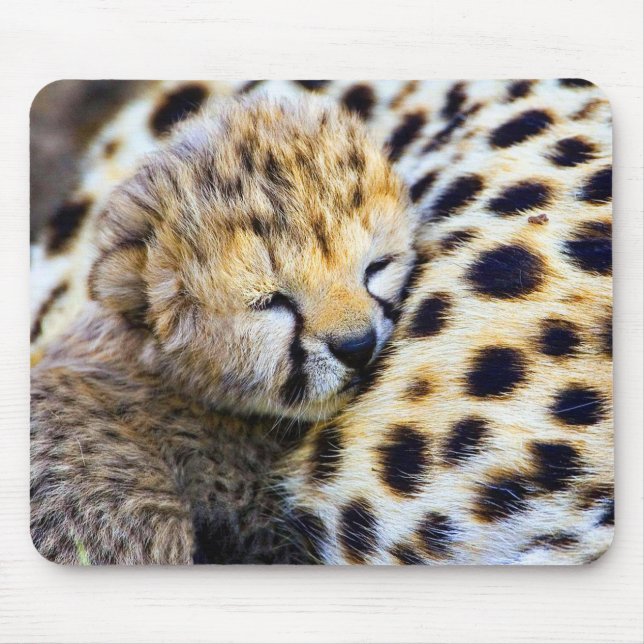 Cheetah Cub Mouse Pad (Front)