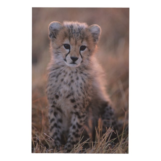Cheetah Cub | Savannah, Kenya Wood Wall Decor (Front)