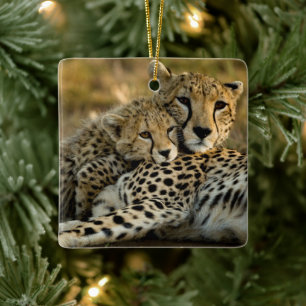 Cheetah Cub Snuggling with its Mom Ceramic Ornament