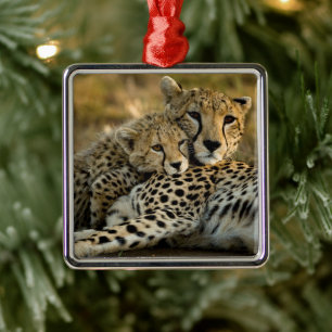 Cheetah Cub Snuggling with its Mom Metal Ornament