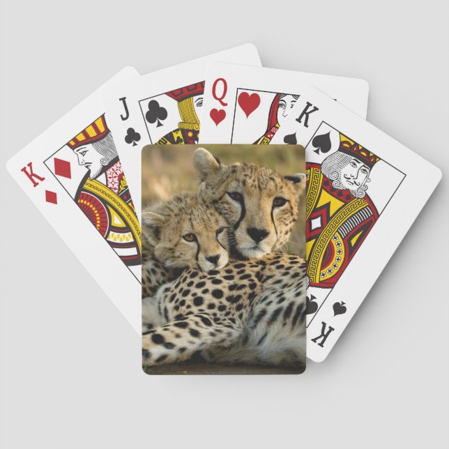 Cheetah Cub Snuggling with its Mom Poker Cards (Back)