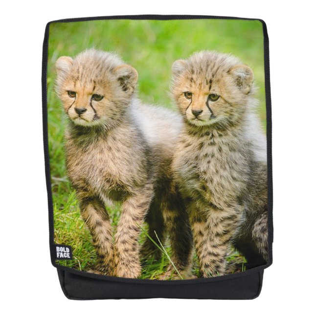 Cheetah Cubs Backpack (Front)