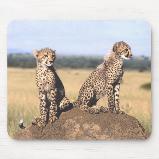 Cheetah Cubs Mousepad (Front)