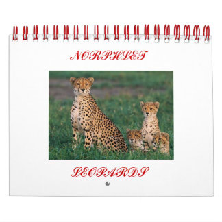 cheetah-cubs, NORPHLET, LEOPARDS Calendar