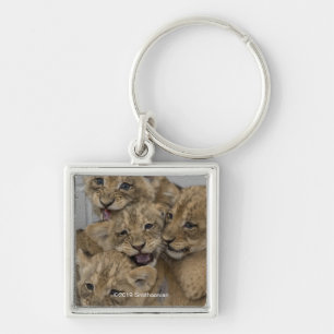 Cheetah Cubs Playing Keychain