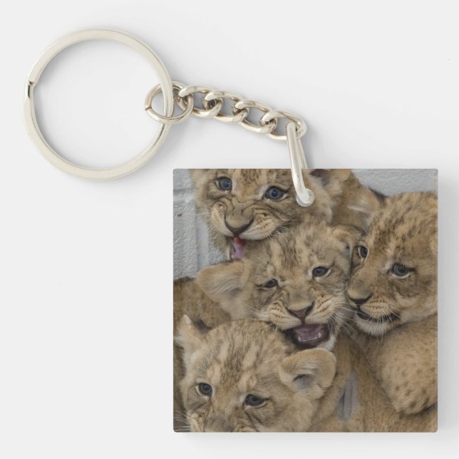 Cheetah Cubs Playing Keychain (Front)
