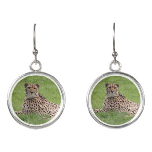 Cheetah earrings