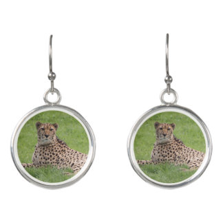 Cheetah earrings