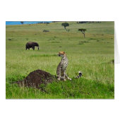 Cheetah elephant (Front Horizontal)