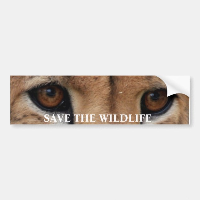 Cheetah Eyes1, SAVE THE WILDLIFE Bumper Sticker (Front)