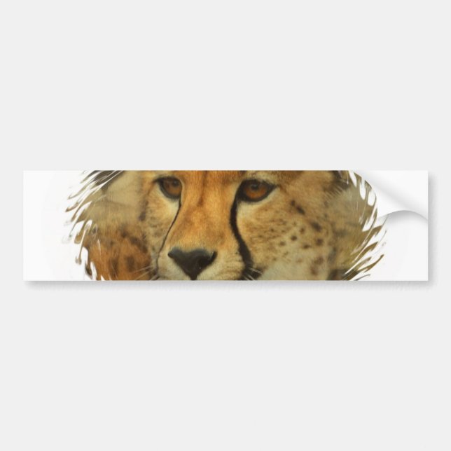 Cheetah Face Bumper Sticker (Front)