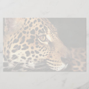 Cheetah Face Stationery