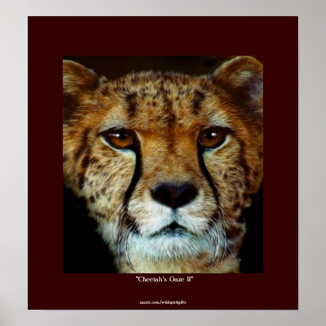 CHEETAH FACE Wildlife Art Poster (Front)