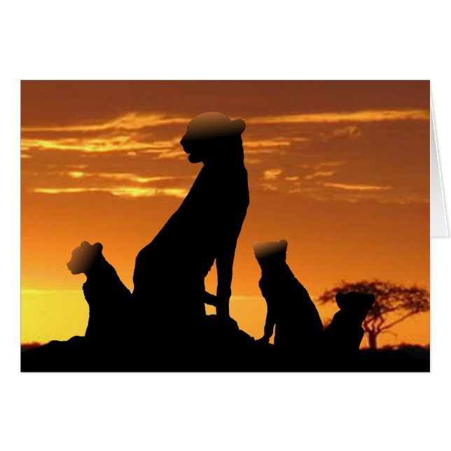 Cheetah family cards (Front Horizontal)